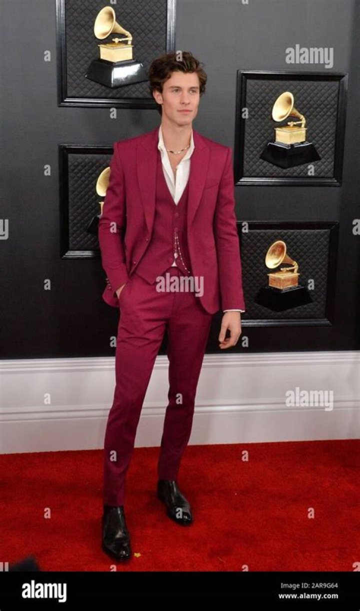 Shawn Mendes arrives for the 2019 American Music Awards at MMicrosoft Theater L.A. LIVE in Los Angeles, California, USA, 24 November 2019. Arrivals - 2019 American Music Awards, Los Angeles, USA - 24 Nov 2019