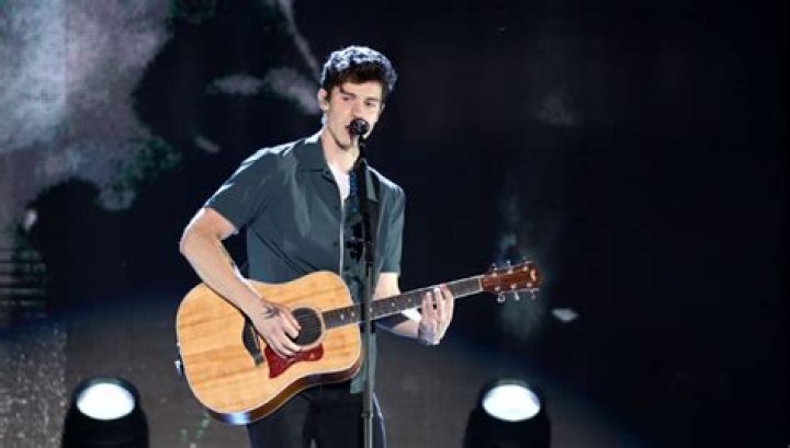 Shawn Mendes Drops Portuguese Version Of ‘In My Blood’ For World Cup – Hollywood Life