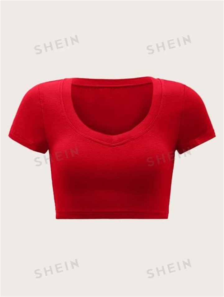 SheIn Casual V Neck Crop Top