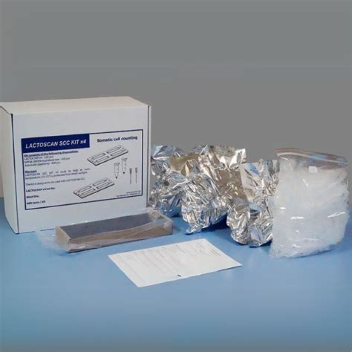 SkinCeuticals&nbsp;Gold Standard Kit, $207, SkinCeuticals.com