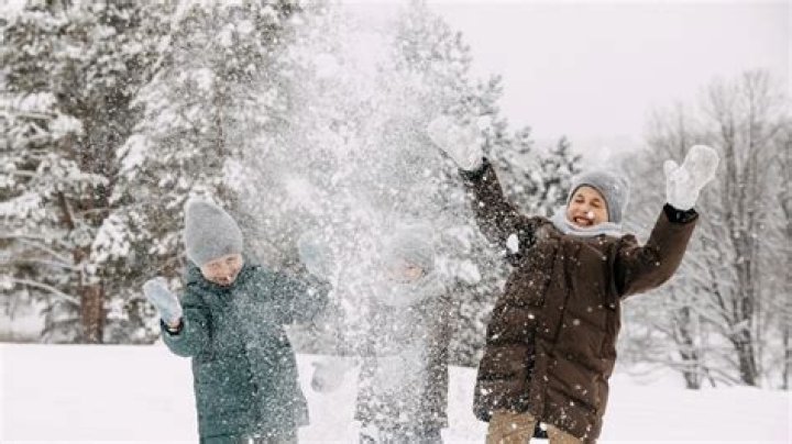 Sofia Richie, Rebel Wilson & More Celebs Playing Outside In The Snow – See Pics