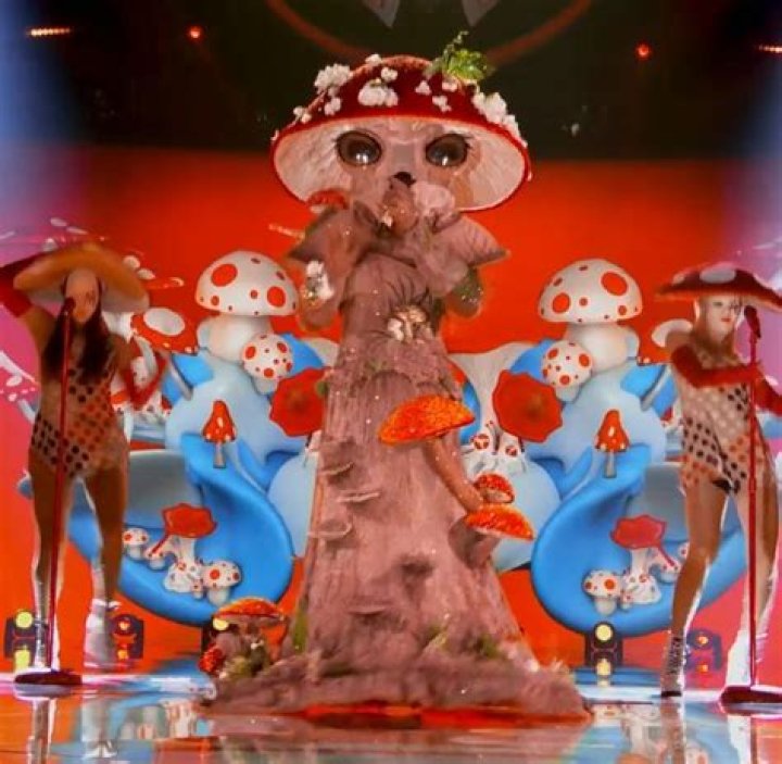 THE MASKED SINGER: Mushroom in the &ldquo;The Group C Play Offs - Funny you should Mask&rdquo; episode of THE MASKED SINGER airing Wednesday, Nov. 4 (8:00-9:00 PM ET/PT) on FOX. &copy; 2020 FOX MEDIA LLC. CR: Michael Becker/FOX.
