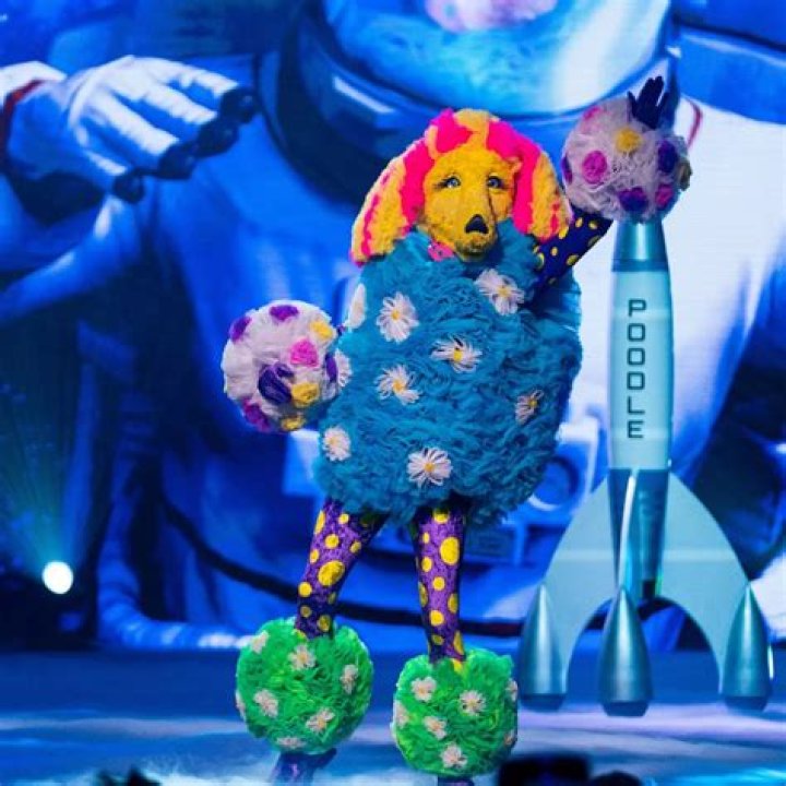 The Poodle On &lsquo;The Masked Singer&rsquo;