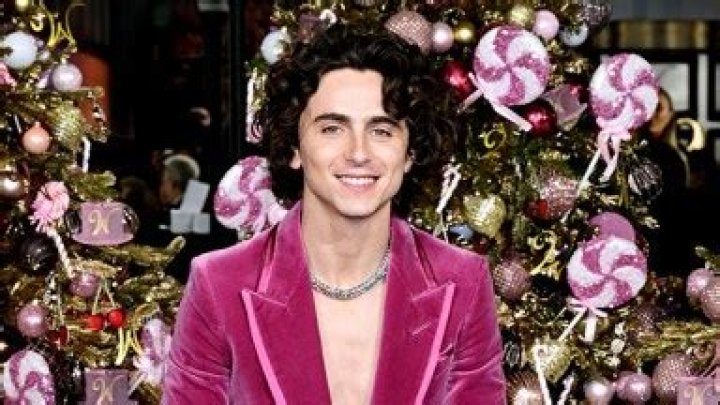 Timothee Chalamet Rocks Sheer Sleeveless Top for Paris ‘Wonka’ Premiere Amid Kylie Jenner Romance