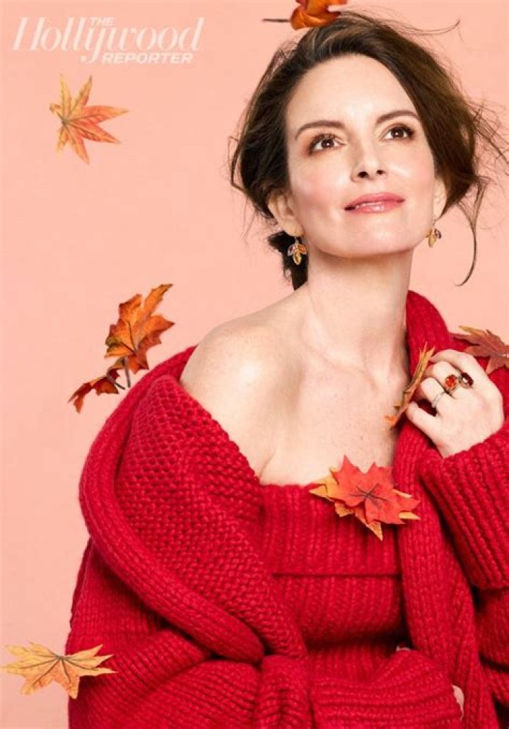 Tina Fey Celebrity Profile – Hollywood Life