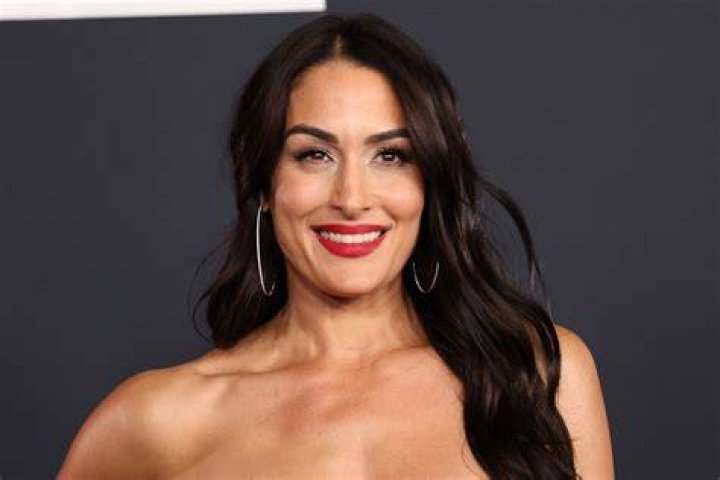 ‘Total Bellas’ Preview: Pregnant Nikki & Brie Bella Get Jealous Over Artem & Their Mom’s Golf Date