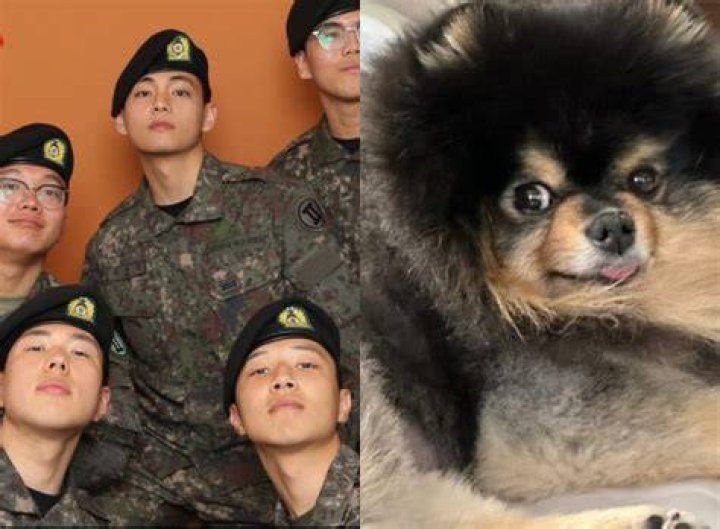 V Reunites With Dog