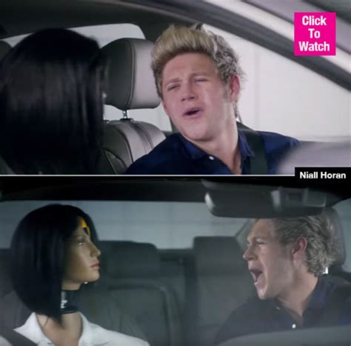 Watch Niall Horan Serenade A Dummy – Hollywood Life