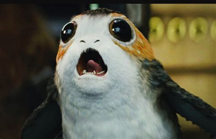 What Is A Porg? Everything You Have To Know About The Adorable &lsquo;Star Wars&rsquo; Animal