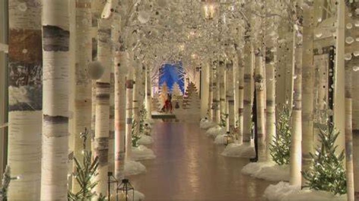 White House Christmas Decorations 2022
