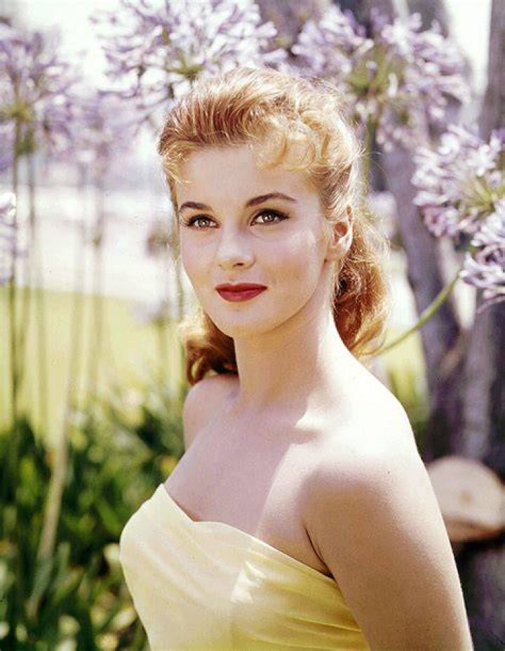 Who Is Ann-Margret? 5 Things To Know About The Actress Turned Rocker – Hollywood Life