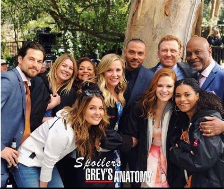 Why ‘Grey’s Anatomy’ Fans Love It – Hollywood Life