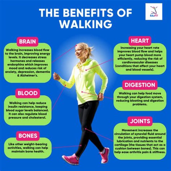 Why Walking Is Seriously Your Easiest, Most Sanity-Saving Exercise Now — Doctor Advice