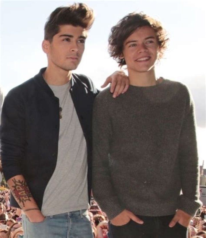 Zayn Malik Harry Styles Diss